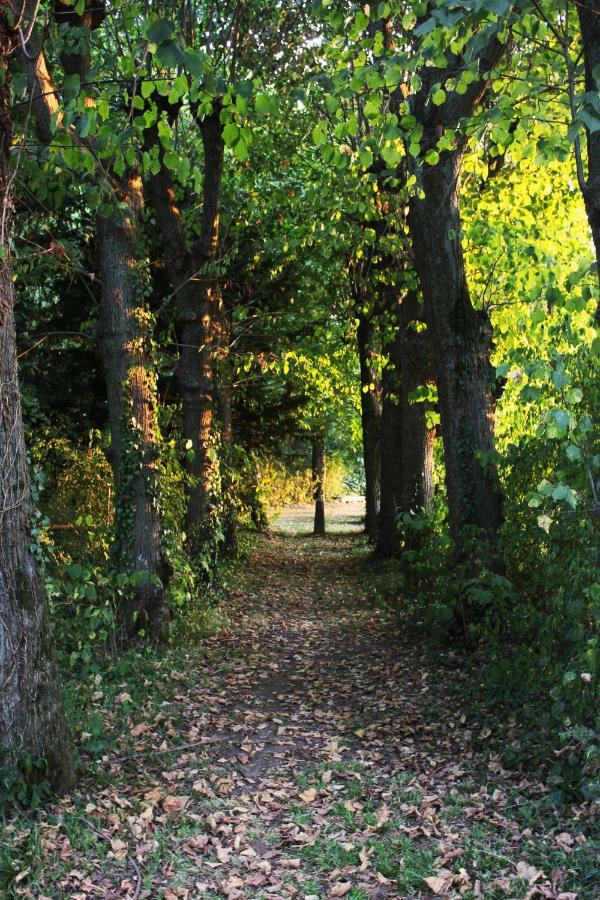 Domaine Des Lilas Saint-Germain-Lembron Екстериор снимка